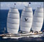luff & foot sail lubricator, marine fittings lubricants for yachts, sailing boats, dinghies